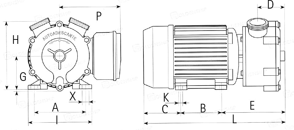 Bomba Electrica 12V 25l/min GOLDENSHIP 