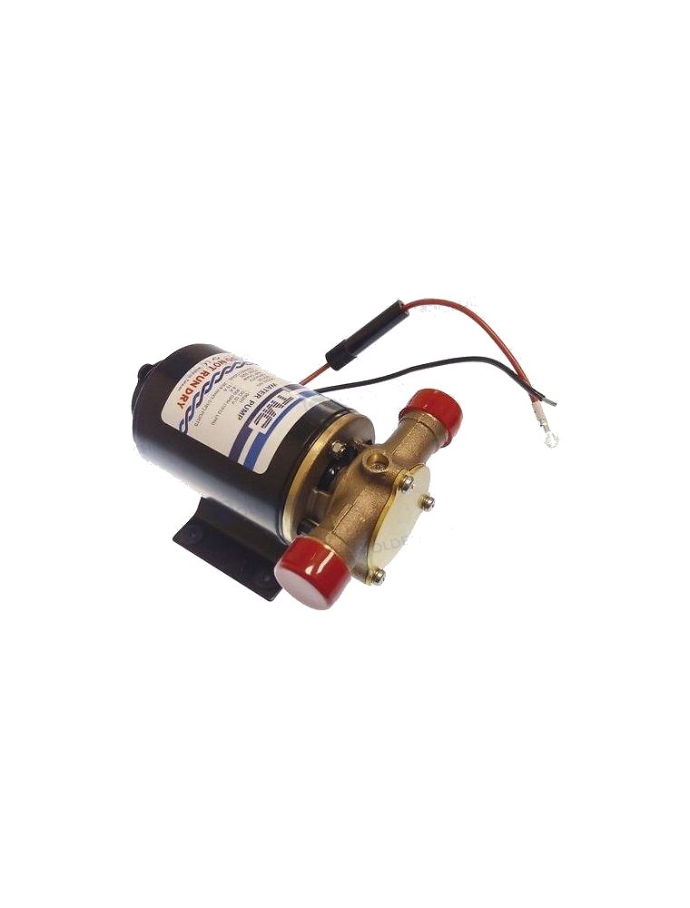 Bomba de Achique GoldenShip 12V. 